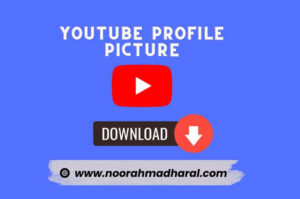 profile picture downloader