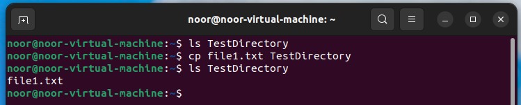 cp ubuntu command