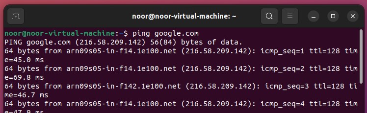 google ping ubuntu command