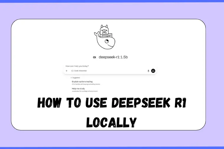 how to run deepSeek r1 locally without internet